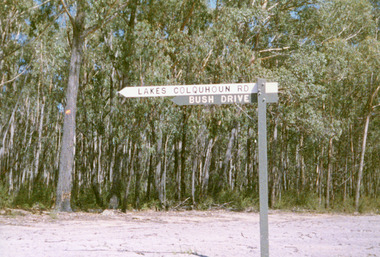 Photograph, Jan McDougall, 1999