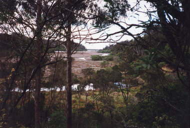 Photograph - Maringa Creek, 1999