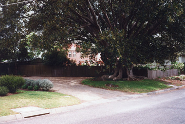 Photograph, 1999