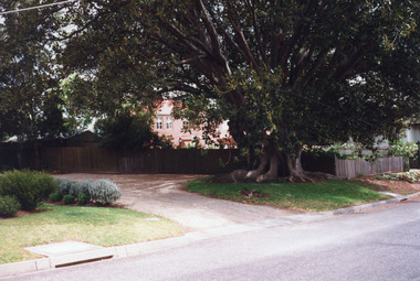 Photograph - Mairburn Road, Metung, Victoria, 1999
