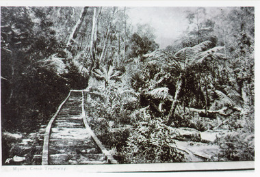 Photograph - Tramline, 1925