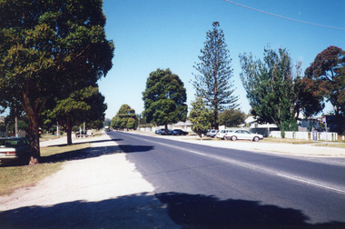 Photograph - Memorial trees Lakes Entrance, 1999