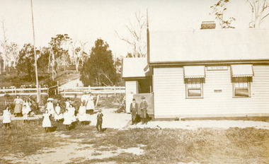 Photograph - Nicholson State School  1900