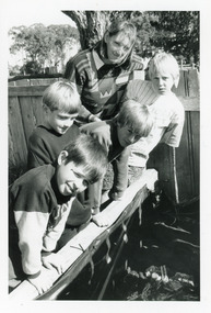Photograph - Toorloo Arm School worm farm 1994, Lakes Post Newspaper
