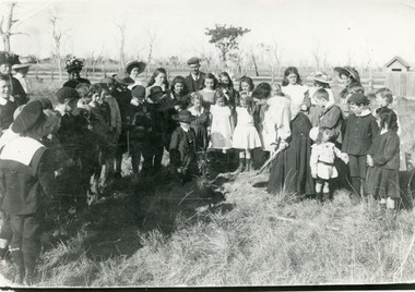 Photograph - Moormung  Hillside School Arbor Day  c1910, Bulmer H D, 1910 c