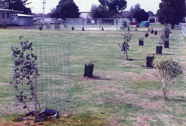 Photograph - Lakes Entrance Primary School, Tidy Town Com, 1994