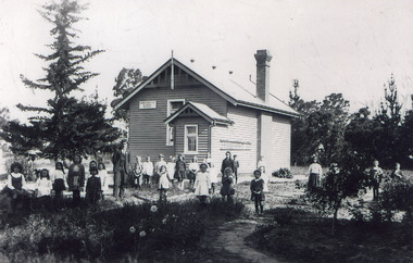 Photograph - Johnsonville State School  c1920, Bulmer H D