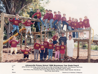 Photograph - Johnsonville State School  1988