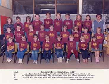 Photograph - Johnsonville State School  1989