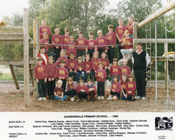 Photograph - Johnsonville State School  1993