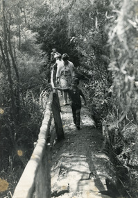 Photograph - Johnsonville School, 1984