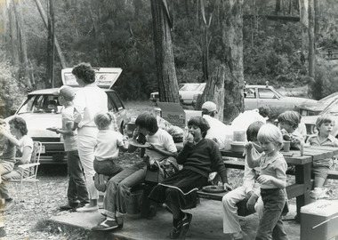 Photograph - Johnsonville School students at Log Crossing,  1984