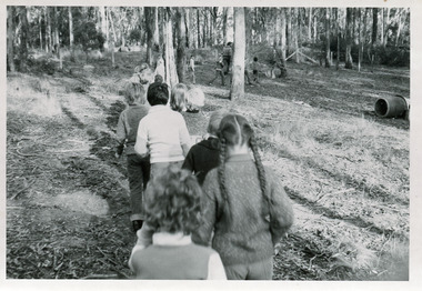 Photograph - Johnsonville Primary School  Picnic Day at Kalimna, Victoria 1970