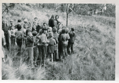 Photograph - Johnsonville School, 1970