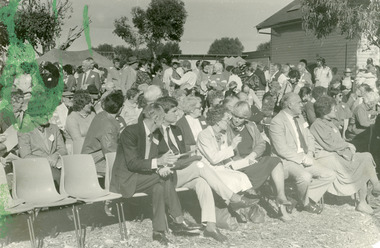 Photograph - Johnsonville School  1986