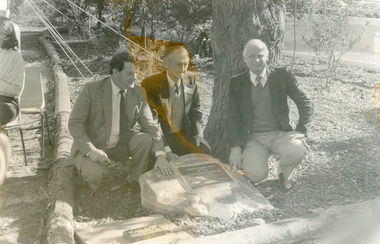Photograph - Johnsonville School  Centenary Celebrations  1986