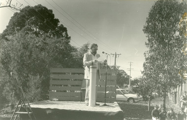 Photograph - Centenary celebrations at Johnsonville School, 1986