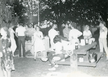 Photograph - Johnsonville School, 1985
