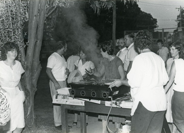 Photograph - Johnsonville School, 1985