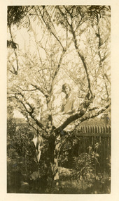 Photograph - Eva Harbeck  1920, Gladys Legg