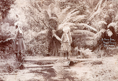 Photograph - Bertha and Gladys Falk c1909, Arthur Cooper