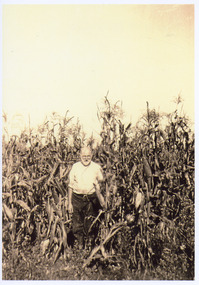 Photograph - Falk Family Kalimna West  c1925