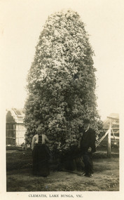 Postcard - Northrope, Bulmer H D, 1920