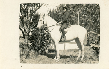 Postcard - Harold Robert (Tommy) Todd  c1910