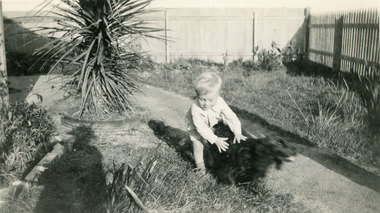 Photograph - Alexander, Graeme Alexander and dog, 1938