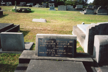 Photograph - Doyle, 2011