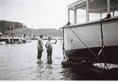 Photograph - Bluebird, 1956