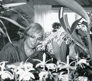 Photograph - Public Health, Lakes Post Newspaper, 1991
