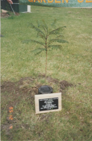 Photograph - Garden club, 1995