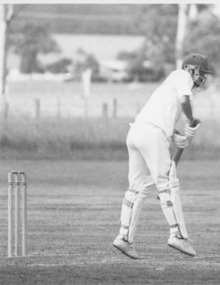 Photograph - Cricket, Lakes Post Newspaper, 1/03/1996 12:00:00 AM