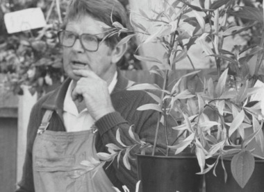 Photograph - Plant Nursery, Lakes Post Newspaper, 1991