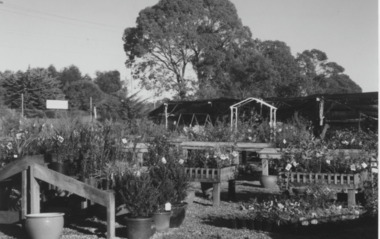 Photograph - Garden Supply Princes Highway Kalimna West Victoria 2000, Lakes Post Newspaper