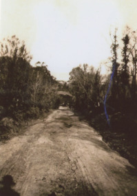 Photograph - Palmers Rd. Lakes Entrance 1927, Edie Jemmeson, 1927 c