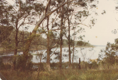 Photograph - Lake Tyers, 1970c