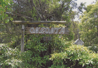 Photograph - Oneonta Lake Tyers, Wendy Price, 1/04/2014 12:00:00 AM