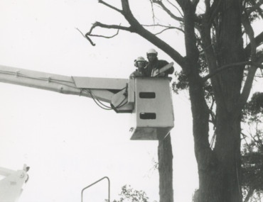 Photograph - Greg Jenkins and Scott Cassells of Lakes Entrance Landscapers, Lakes Post Newspaper, 1/06/1996 12:00:00 AM
