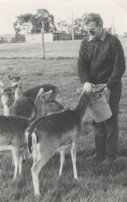 Photograph - Don Aldred of Deer Farm feeding deer at Toorloo Arm Victoria, Lakes Post Newspaper, 1990