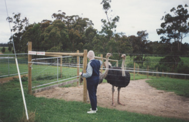 Photograph - Gladys and Bob Lucus's Ostrich Farm Lakes Entrance Victoria, Vera Bennett, 15/03/1994 12:00:00 AM