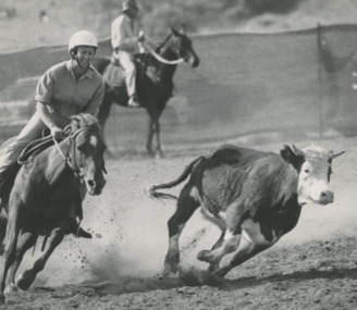 Photograph - Salt Creek Campdraft Johnsonville Victoria, Lakes Post Newspaper, 1/04/1994 12:00:00 AM