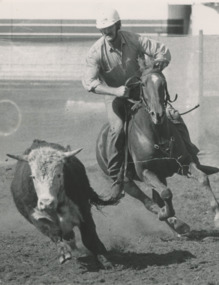 Photograph - Brian Hardy, Salt Creek Campdraft Johnsonville Victoria, Lakes Post Newspaper, 1/04/1994 12:00:00 AM