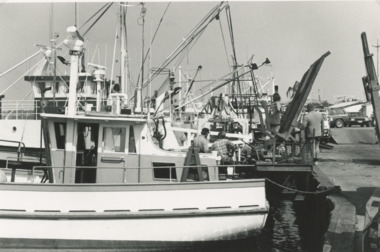 Photograph - Scallop Boats, Lakes Post Newspaper, 1/03/1993 12:00:00 AM