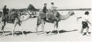 Photograph - Camel Rides Lakes Entrance, Lakes Post Newspaper, 1/01/1995 12:00:00 AM