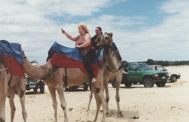 Photograph - Camels  at Lakes Entrance, Lakes Post Newspaper, 1996 c