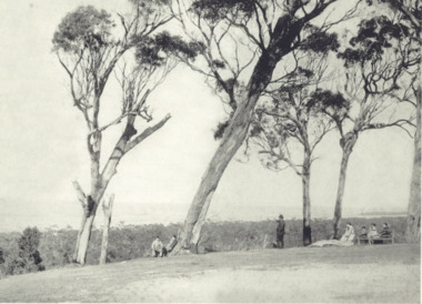 Photograph - Roadknights Merrangbaur property  Lakes Entrance Victoria, J Brookes, 1889