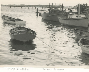 Photograph - fishing boats Alathea, Harveen, President  and Marauder  Lakes Entrance Victoria, Carpenter family, 1/05/1955 12:00:00 AM