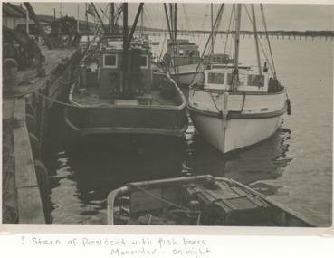 Photograph, Carpenter family, Fishing boats Marauder and President, Lakes Entrance, 1/05/1955 12:00:00 AM